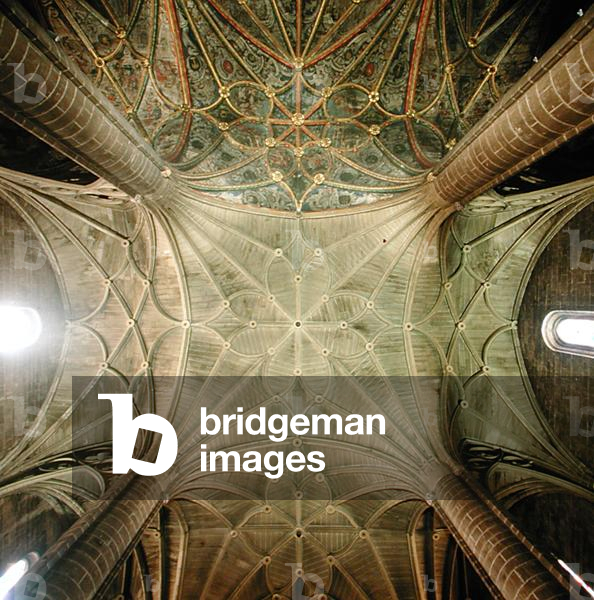 View of the ceiling (photo)