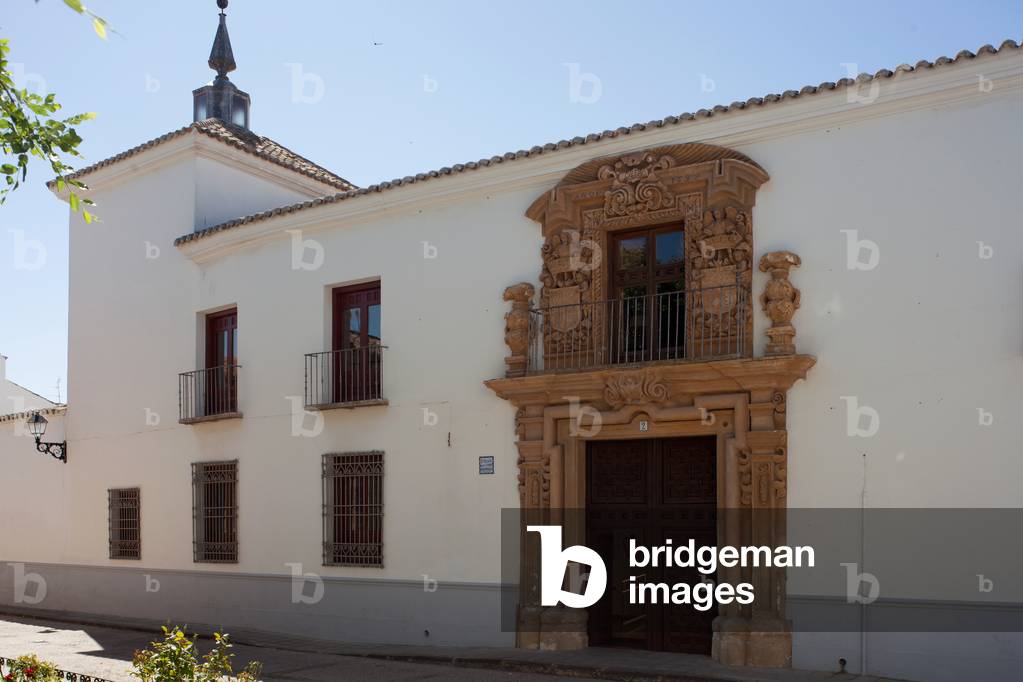 Palace (Palacio de los Condes de Valparaiso). Exterior. Façade.