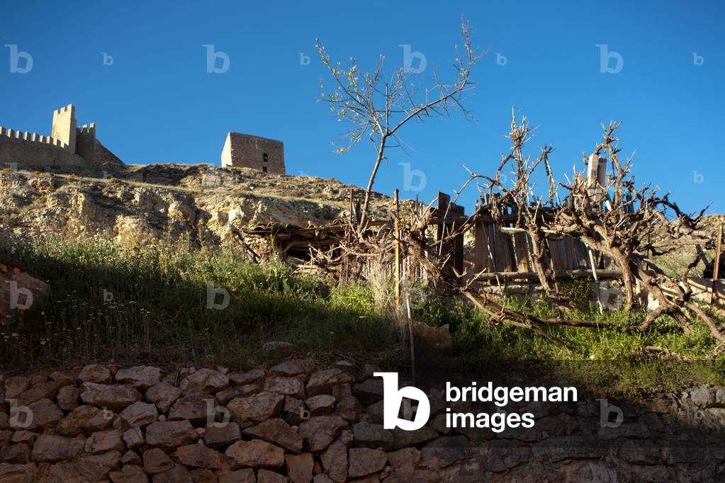The city fortification walls.