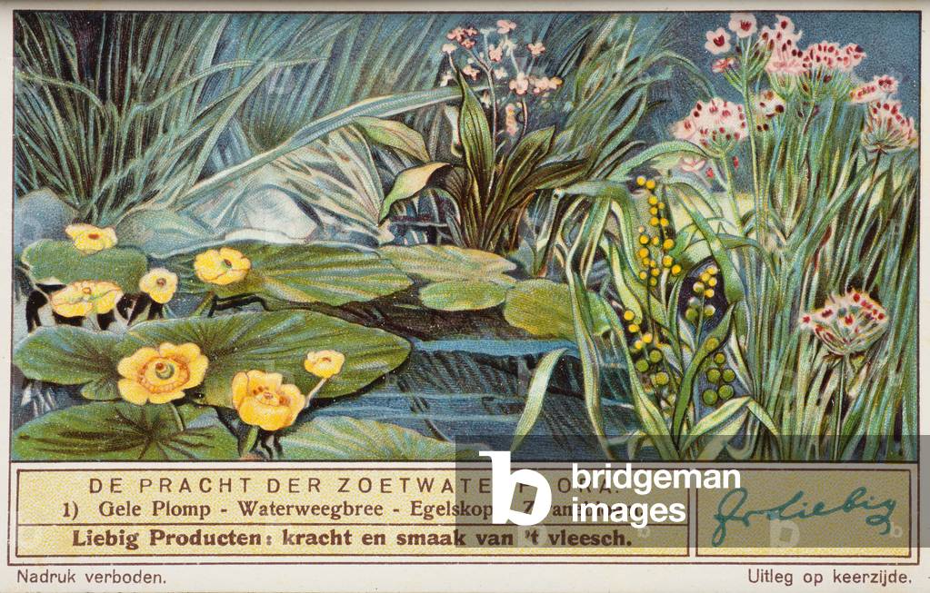 Liebig advertising cards 
