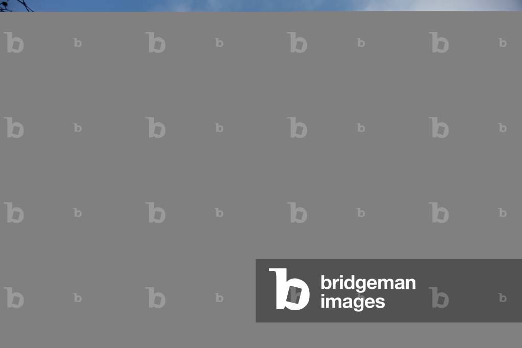 Draps hall (Lakenhalle). Rebuilt after the war 1914-1918. Exterior.