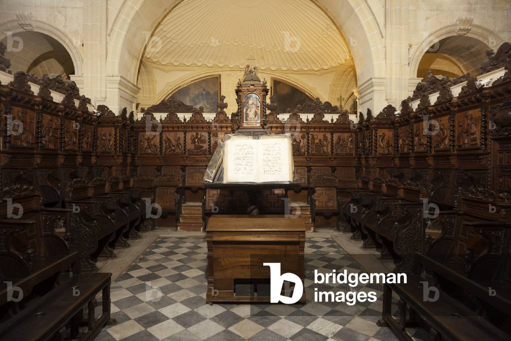 Interior. Choir (coro). The stalls. Wood.