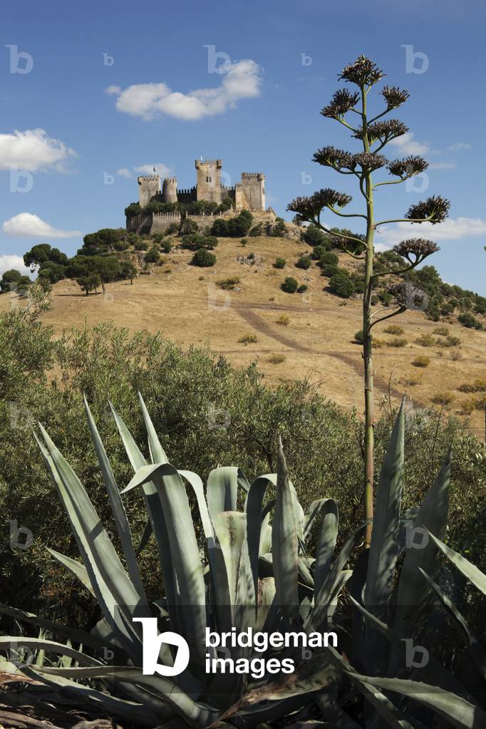 Castillo de Almodóvar del Río, Córdoba, Andalucía, Spain (photo)