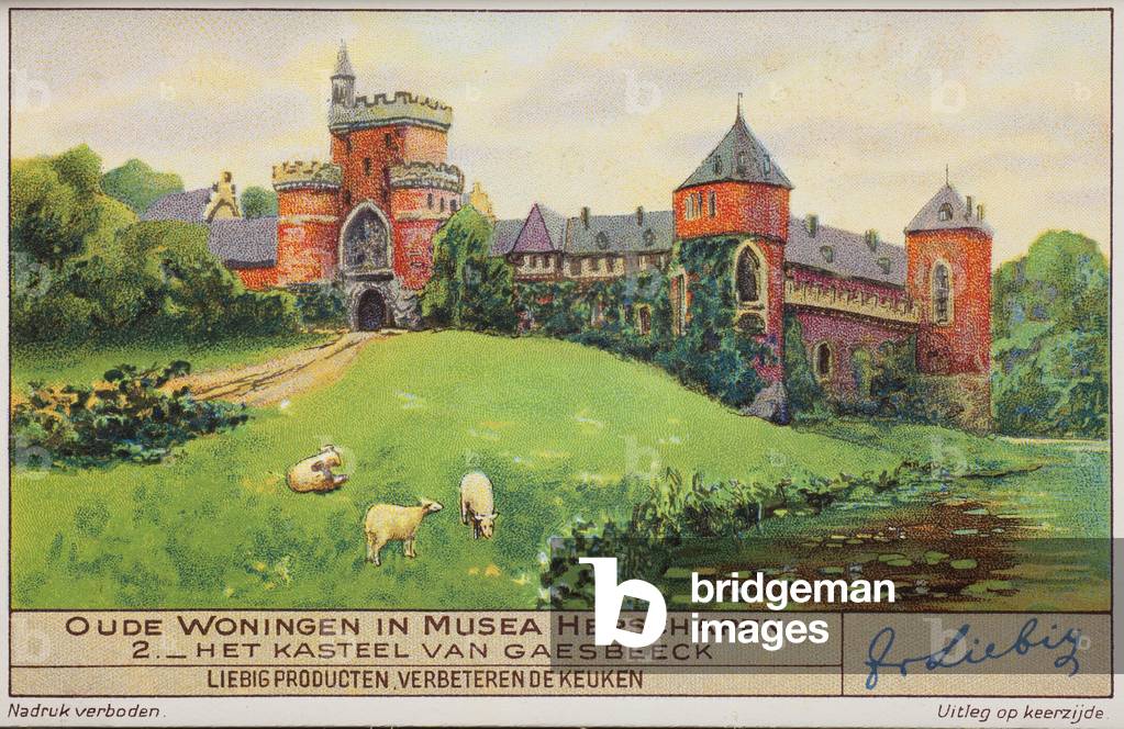 Old houses reconverted in museum (Belgium), no 2, the castle at Gaasbeek.