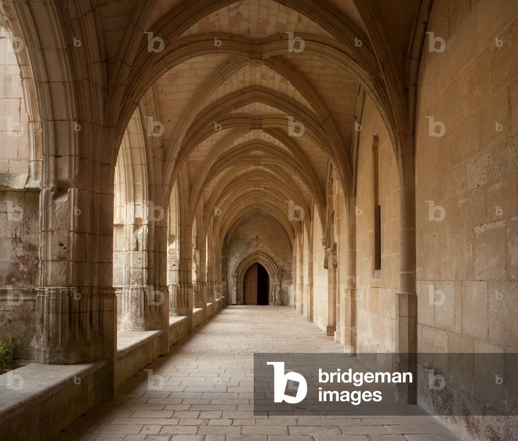 Cathedral (Cathédrale Notre-Dame-de-l'Assomption). The cloister.