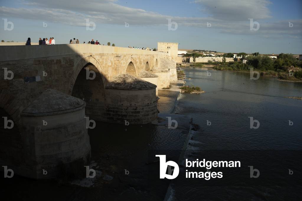 Bridge (Puente Romano).