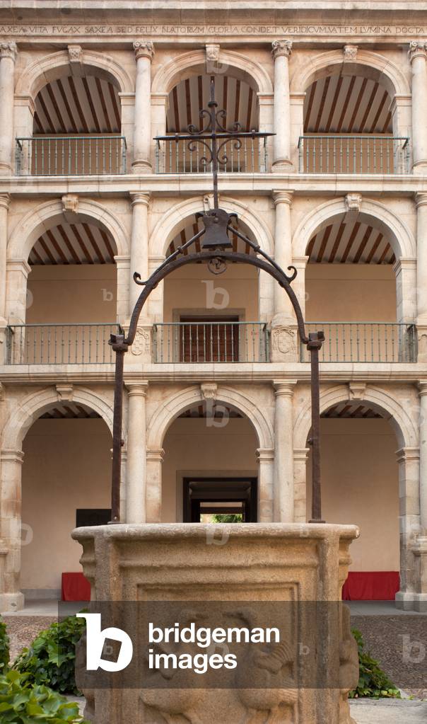 Main faculty (Colegio Mayor de San Ildefonso). Patio.