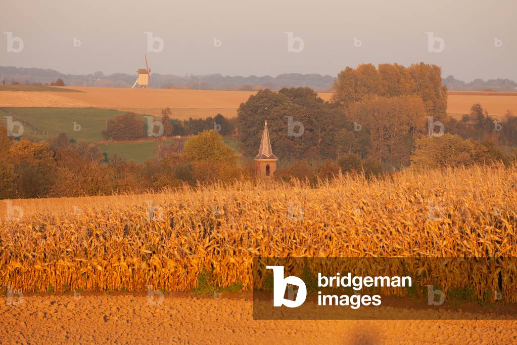Landscape. With a church and wind mill (Vinkemolen).