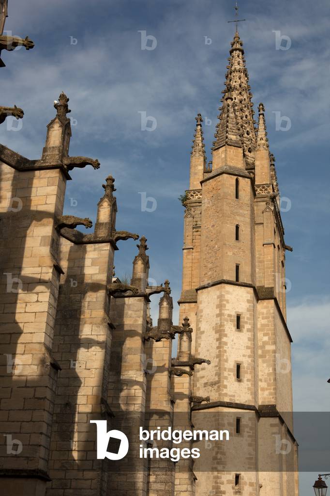 Cathedral (Cathédrale Saint-Jean-Baptiste). Exterior. The nave. South. Gargoyles.