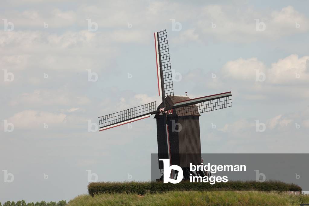 Wind mill 