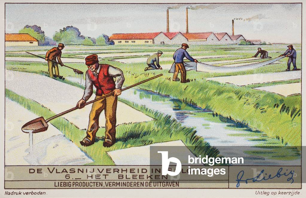 Liebig Chromos. Trade card. Series 1401, flax production industry in Belgium, no 6, the bleaching process.1939.
