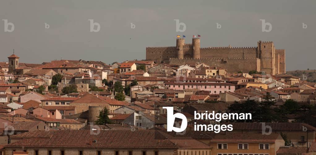 Cityscape. The castle. West.