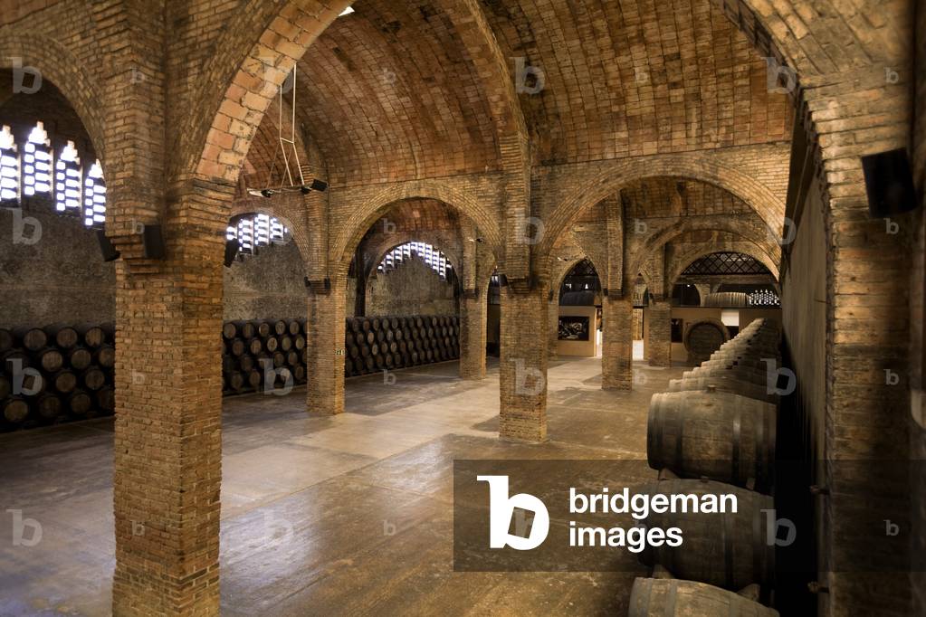 Wine cellar (photo)