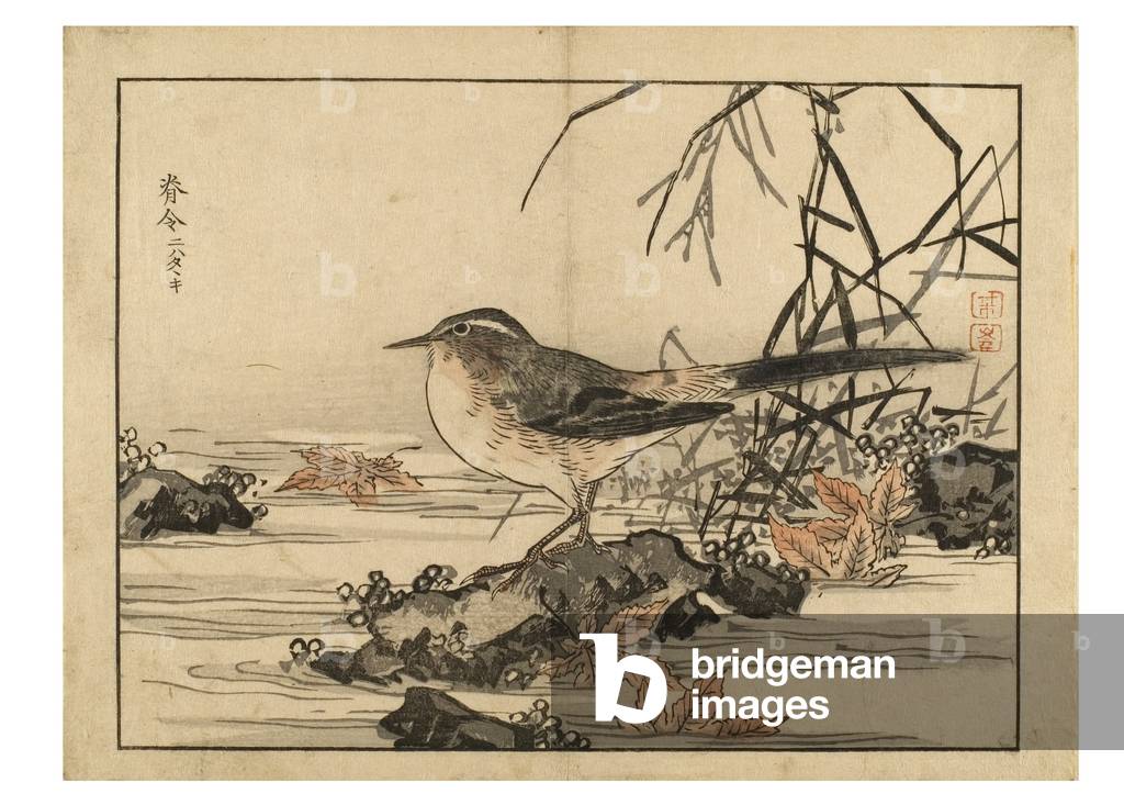 Bird, 19th century (woodblock print on paper)