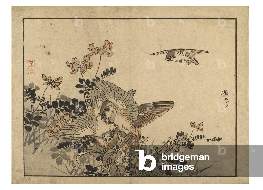 Sparrows, 19th century (woodblock print on paper)