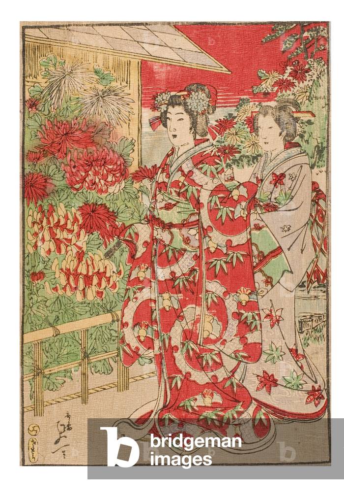 Two women admire a display of large chrysanthemums, c.1885-1895 (woodblock on paper)