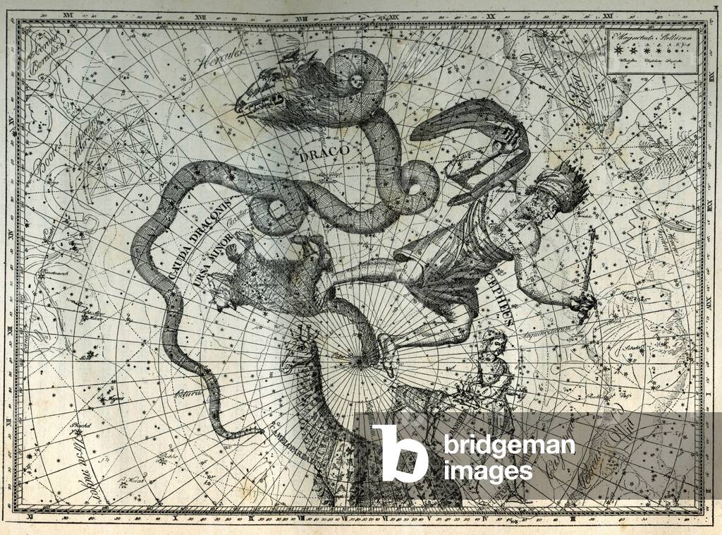 The nearby constellations of the North Pole: Little Bear, Dragon, Cephee, Giraffe, Reindeer and Messier. Engraving from Camille Flammarion's “Les étoiles et les autres curiosites du ciel”, 1882.