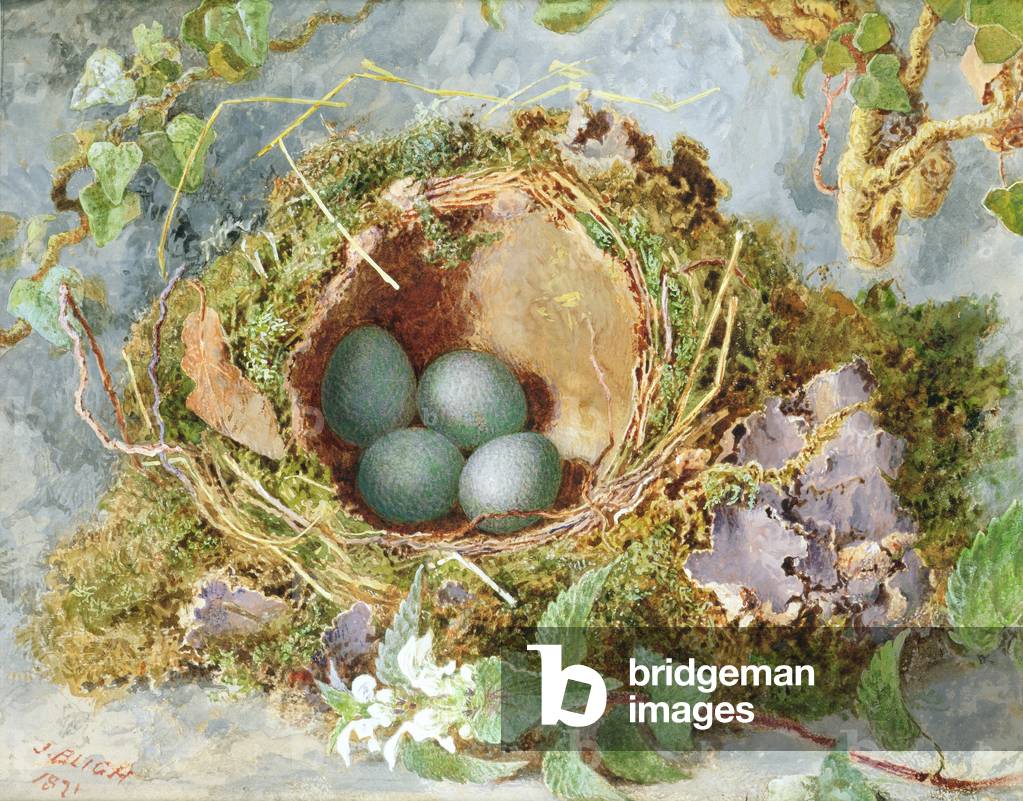 A Nest of Eggs, 1871 (w/c on paper) (see 215284 for pair)