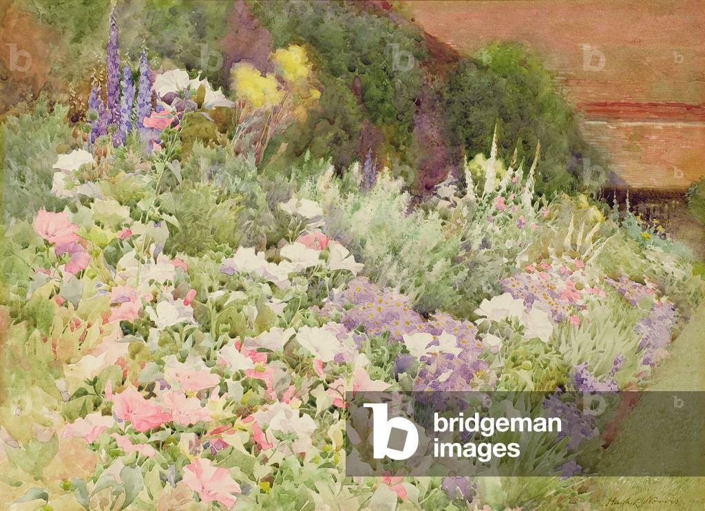 Eine krautige Grenze