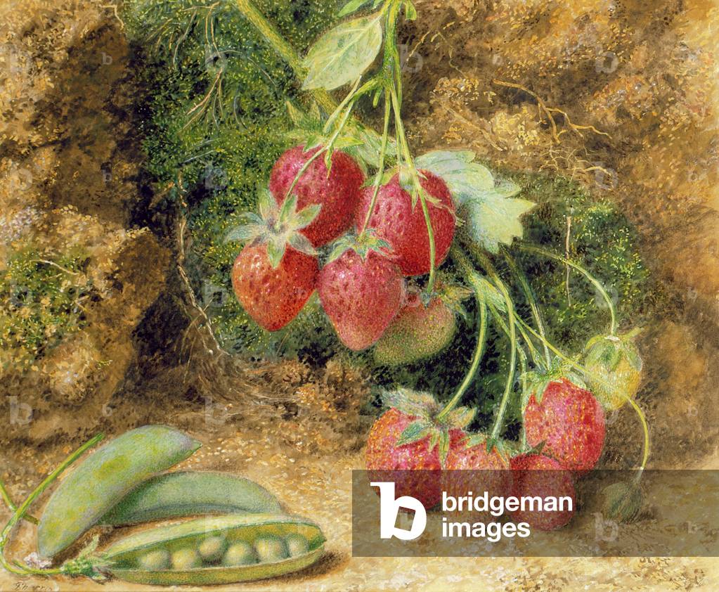 Strawberries and Peas