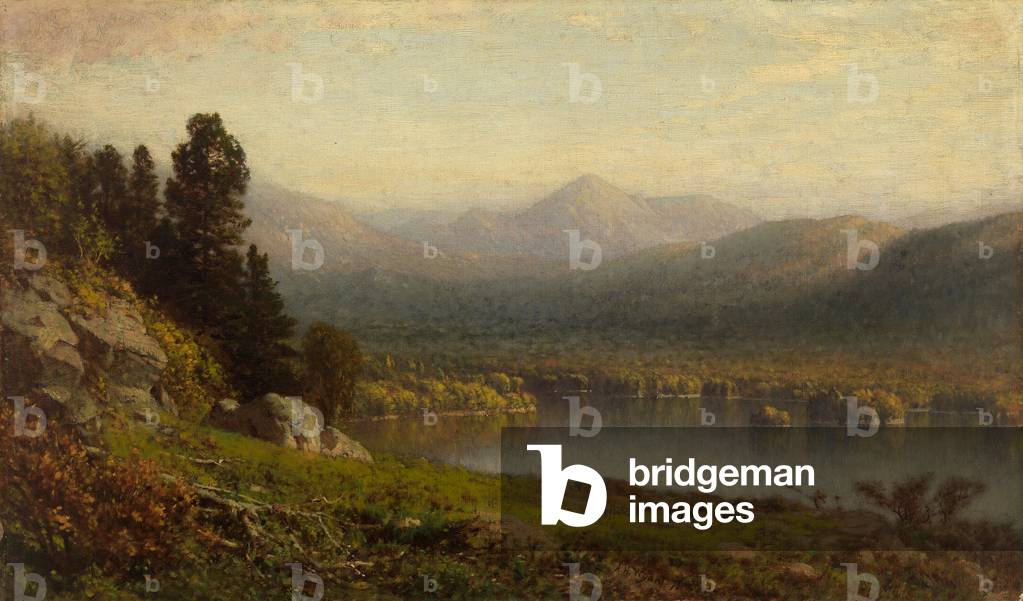 In the Adirondacks, 1876 (oil on canvas)