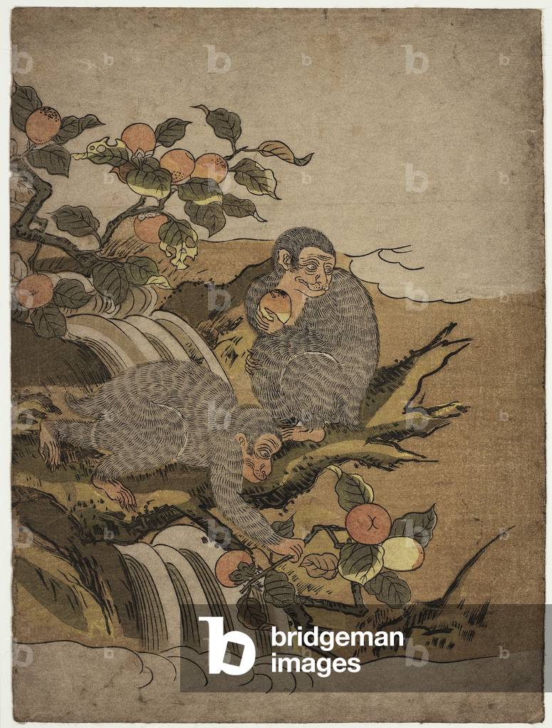 Two Monkeys with Persimmons, c.1772 (woodblock print)