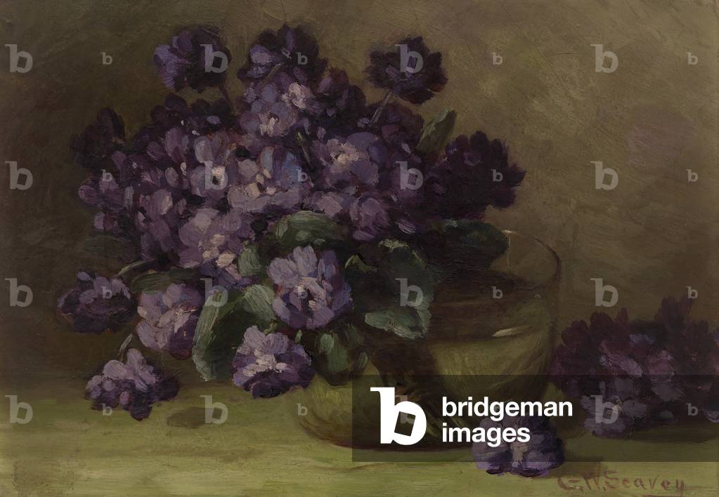 Violets (oil on canvas)