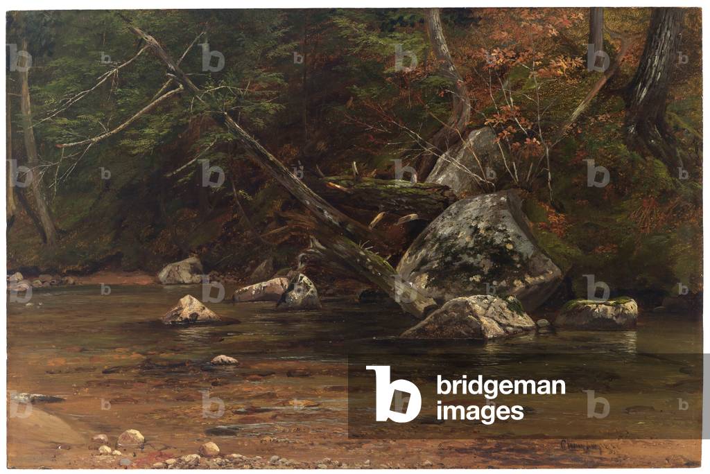 An Adirondack Stream, 1856 (oil on academy board)