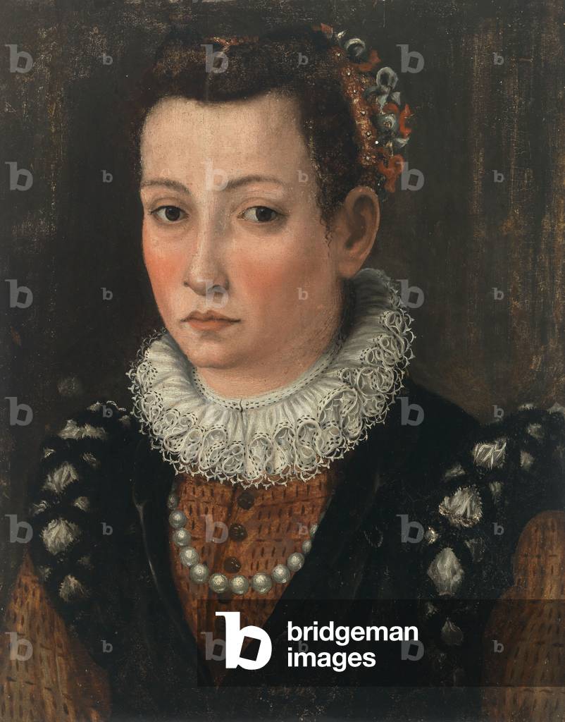 Portrait of a Woman, c.1550 (tempera on panel)