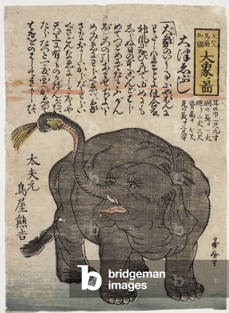 Yokohama - Elephant, c.1860 (woodblock print)