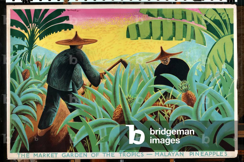 The Market Garden of the Tropics - Malayan Pineapples, from the series 'Buy from the Empire's Gardens', 1931 [6319383] (colour litho)