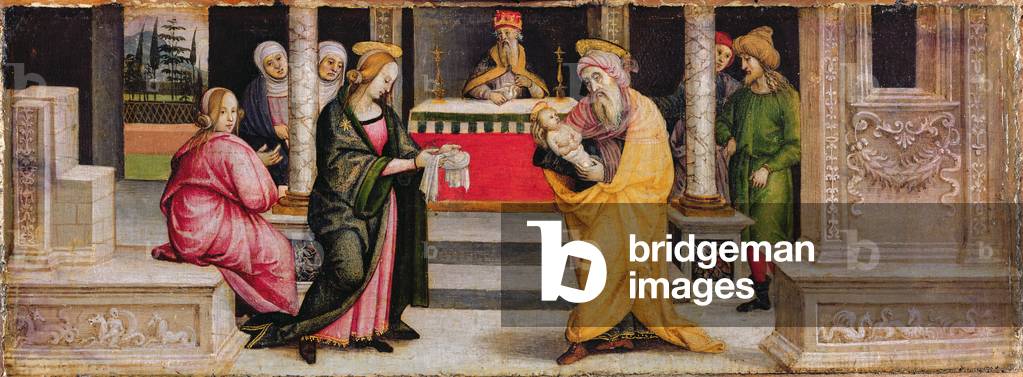 The Presentation in the Temple, c.1510 (tempera on panel)