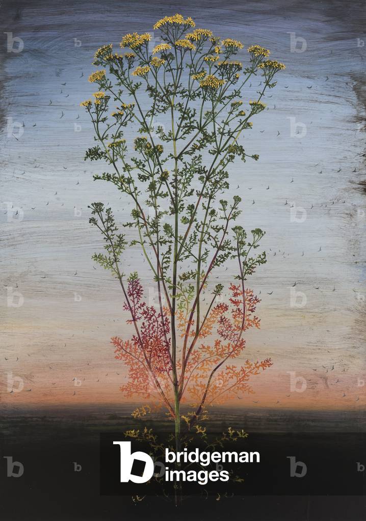 Invisible Photographs, 2017 (oil on wood panel)