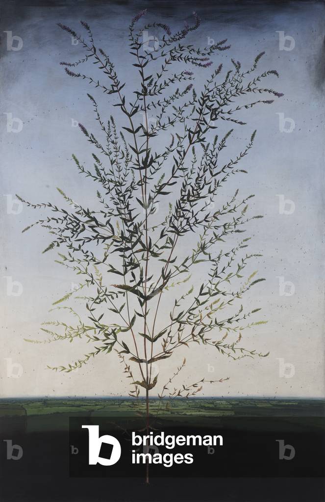 Errant, 2015 (oil on linen)