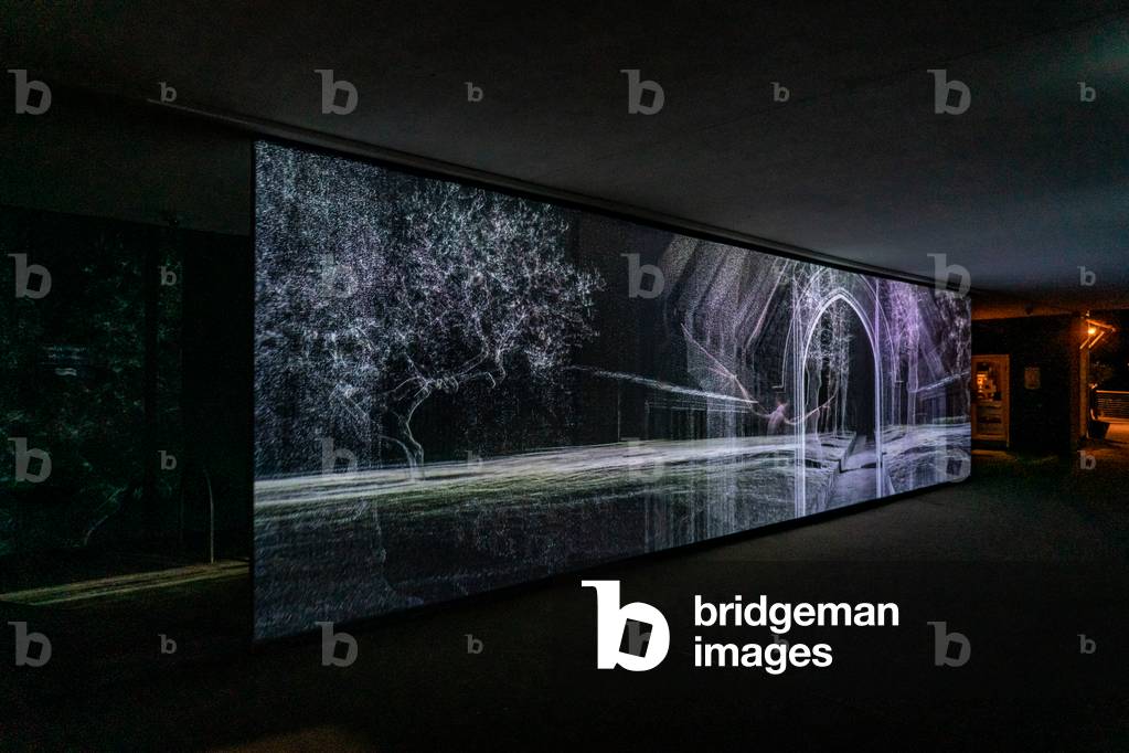 Echolocation, 2021 (3 channel video projection on Polypropylene Mesh)