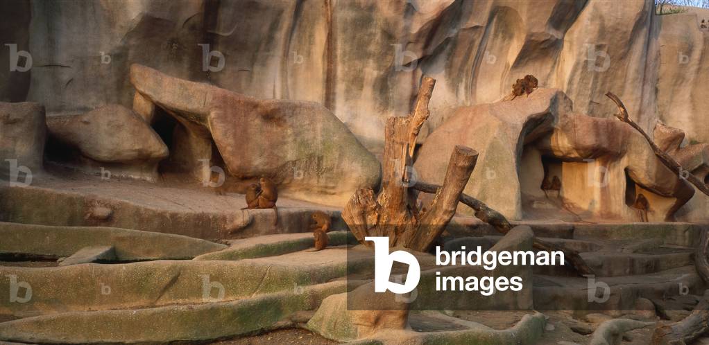 Parc zoologique de Paris a Vincennes, Paris 75012. Architecture by Charles Letrosne, 1932-1934. The Parc Zoologique de Paris, known as the zoo of Vincennes, covers an area of 14.5 hectares. It is located in the 12th arrondissement in Paris between Lake Daumesnil and Bois de Vincennes. It houses about 1200 animals, including 600 birds. The Grand Rocher, sixty-five metres high, overlooks Paris. Built between 1932 and 1934 by architect Charles Letrosne, the Grand Rocher remains an exceptional realization, thanks to its architecture and construction techniques, made of weapon concrete.