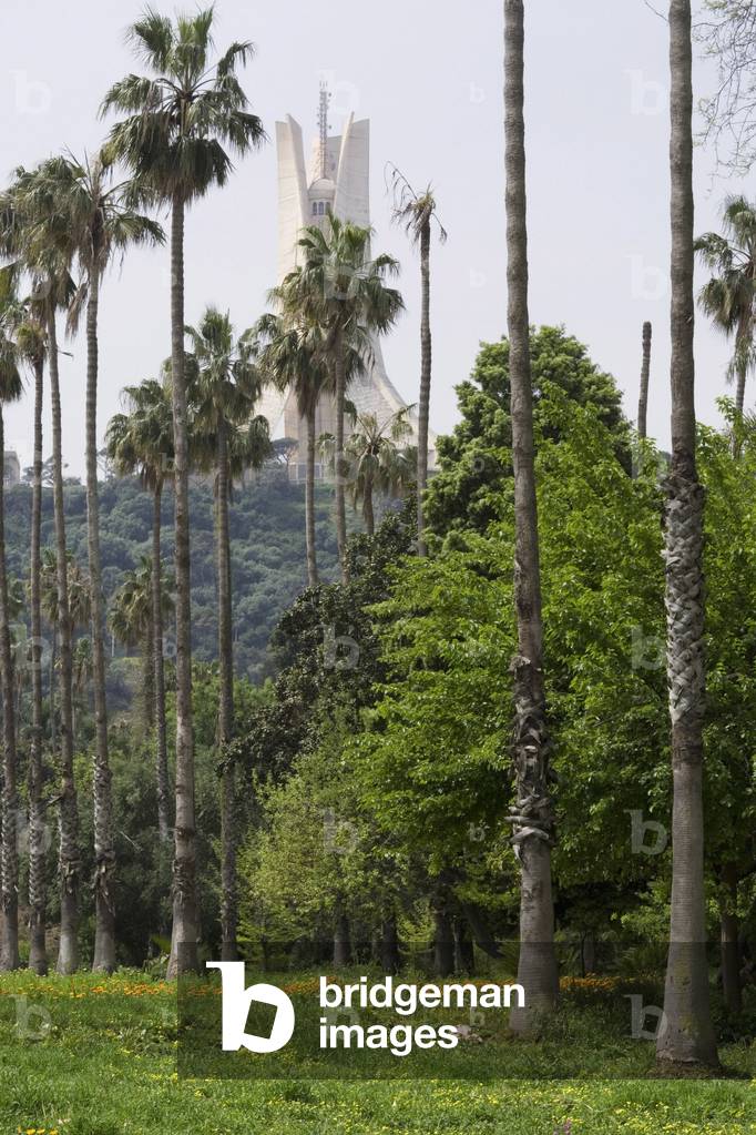 Hamma Essay Garden, Algiers, Algeria. Built in 1832. Photography 20/09/07