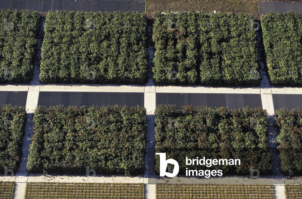 Slab gardens above a parking lot, Turin (Italy). (Garden on grass paving in Turin, Italy).