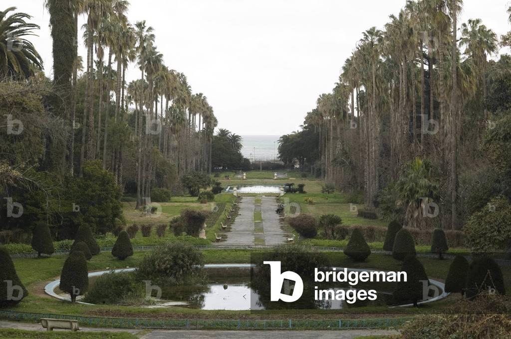 Hamma Essay Garden, Algiers, Algeria. Built in 1832. Photography 20/09/07