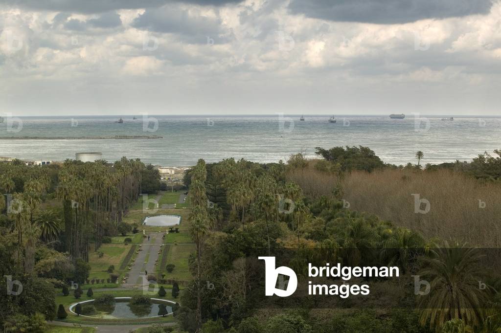 Hamma Essay Garden, Algiers, Algeria. Built in 1832. Photography 20/09/07