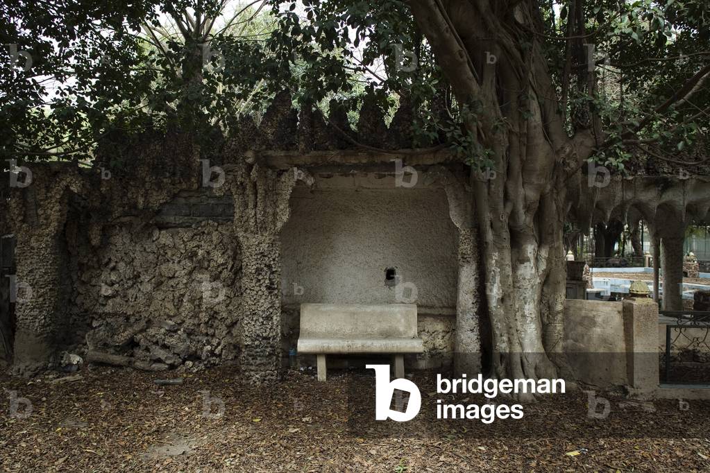 Hamma Essay Garden, Algiers, Algeria. Built in 1832. Photography 20/09/07