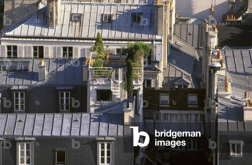Parisian roofs, Paris 4.