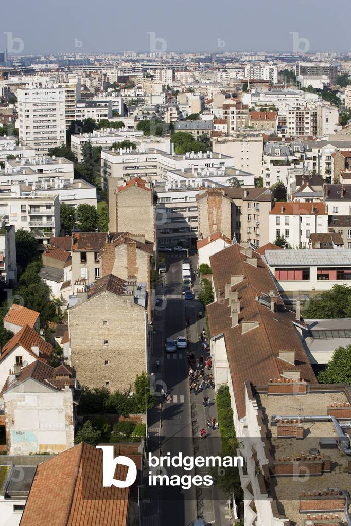 Doves, in the Hauts de Seine. Photography 25/06/08.