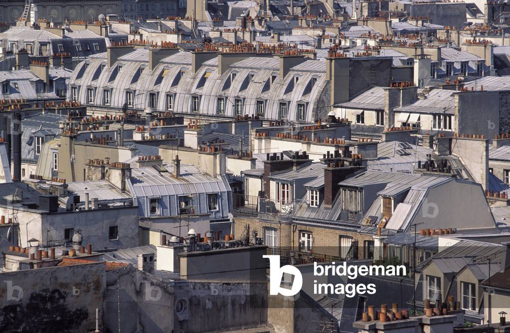 Parisian roofs, Paris 4.