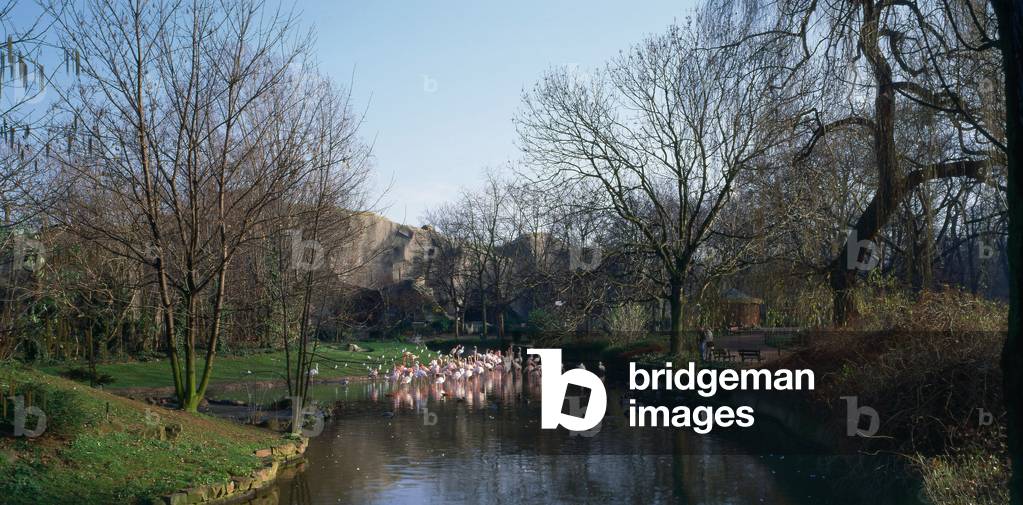 Parc zoologique de Paris a Vincennes, Paris 75012. Architecture by Charles Letrosne, 1932-1934. The Parc Zoologique de Paris, known as the zoo of Vincennes, covers an area of 14.5 hectares. It is located in the 12th arrondissement in Paris between Lake Daumesnil and Bois de Vincennes. It houses about 1200 animals, including 600 birds. The Grand Rocher, sixty-five metres high, overlooks Paris. Built between 1932 and 1934 by architect Charles Letrosne, the Grand Rocher remains an exceptional realization, thanks to its architecture and construction techniques, made of weapon concrete.