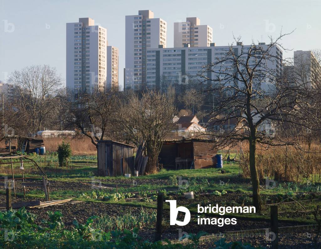 Vegetable garden at the foot of the towers in Noisy le Sec (Seine Saint Denis).