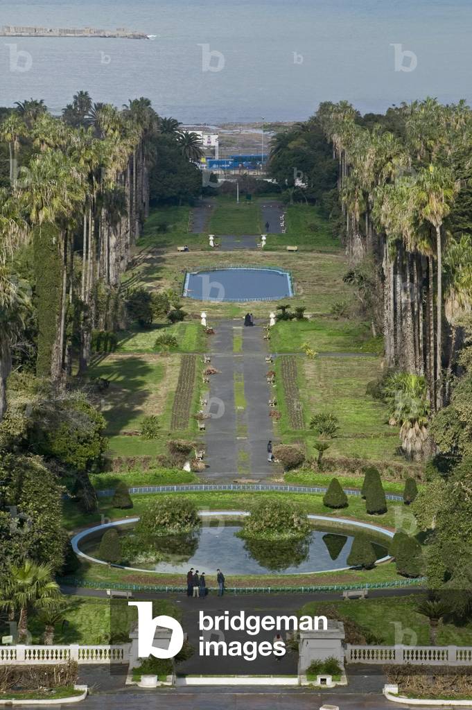 Hamma Essay Garden, Algiers, Algeria. Built in 1832. Photography 20/09/07