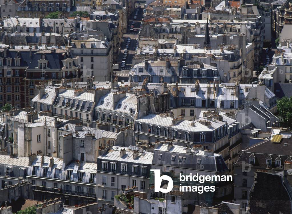 Panoramic view from Notre Dame Cathedral in Paris.