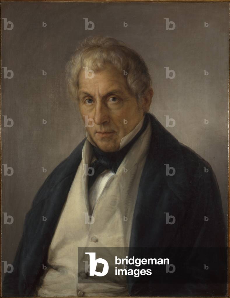 Portrait of the Father of the Bass Marini (Ritratto del padre del basso Marini), by Giovanni Carnovali detto il Piccio, c. 1843, 19th century (oil on canvas) 70 x 53,5 cm