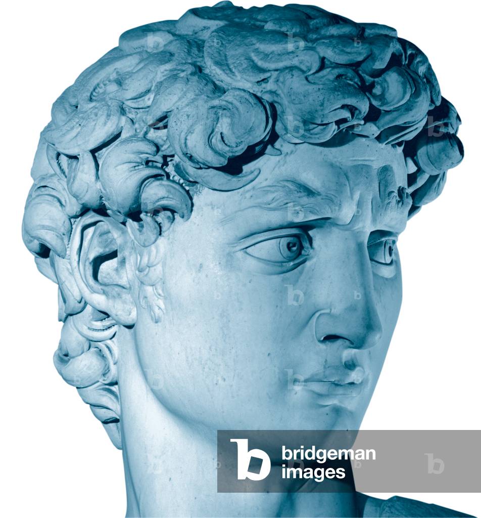 David, 1501 - 1504 (full relief marble)